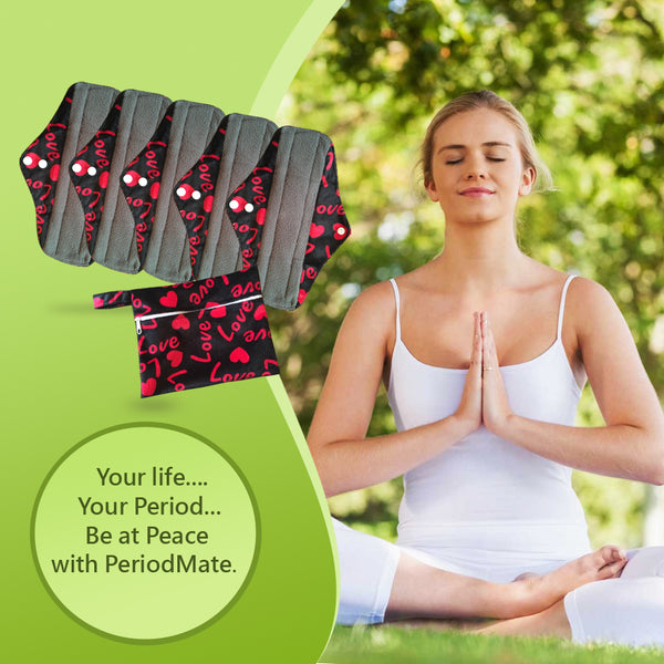 Period Mate Mama Cloths for Medium to heavy Flow with a Bonus Wet bag ( 6 pieces) Red Love